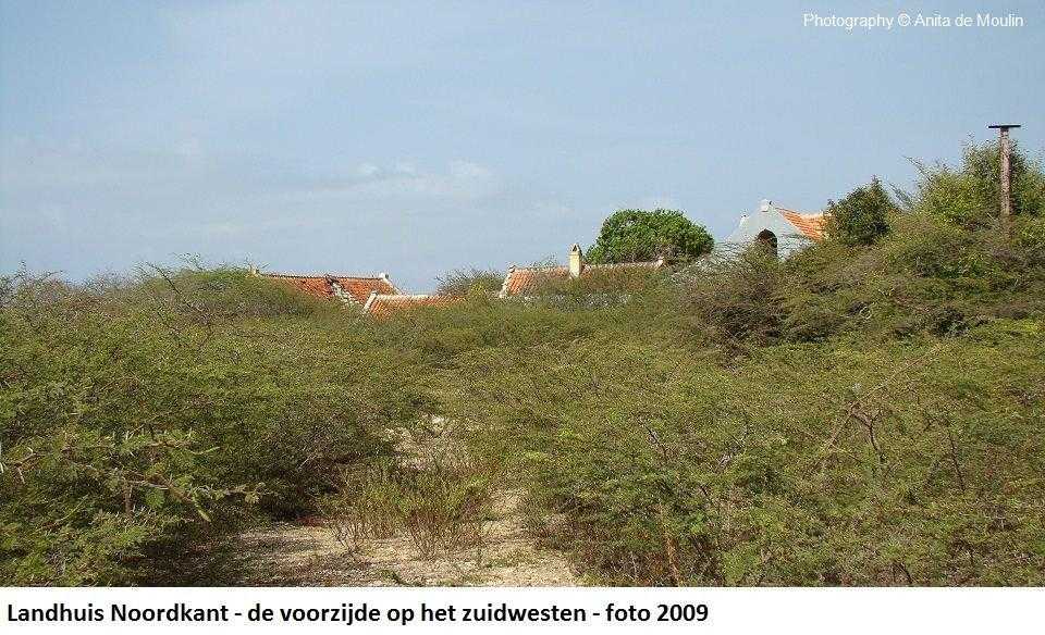 03. Noordkant voorzijde op het zuidwesten 2009